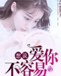 想说爱你不容易主题曲的电视剧