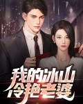 我的冰山老婆 小说百度百科