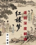 【红楼梦】逐回深度解读