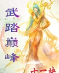 武踏巅峰