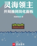 灵海领主：开局抽到简化面板