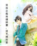 双面总裁难缠娇妻：逃不掉的爱