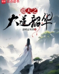 遮天之大道韶华无防盗