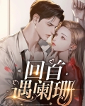 回首阑珊的意思