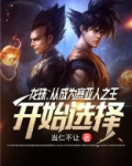 龙珠:从成为赛亚人之王开始选择