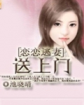 恋恋逃妻送上门