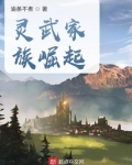 灵武家族崛起类似小说