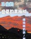 王俊凯 黄锐
