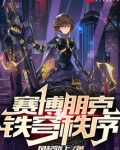 赛博朋克:铁穹秩序