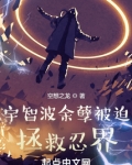宇智波余孽被迫拯救忍界